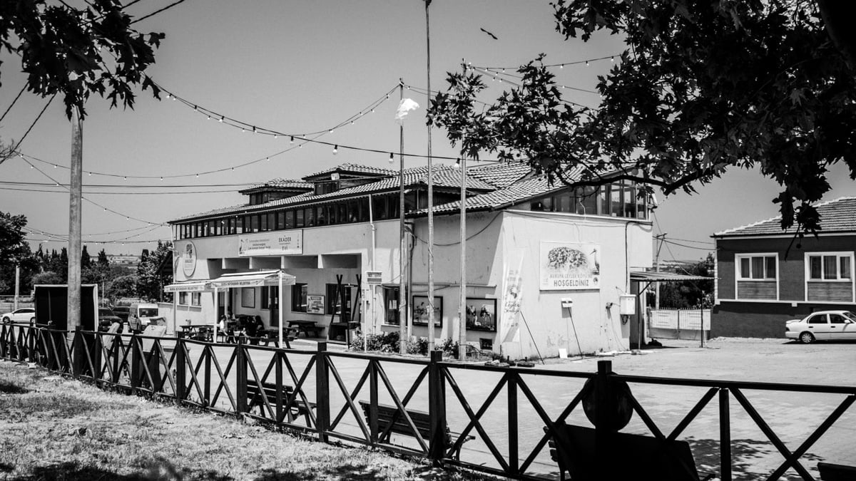 Monochrome image of a rustic building in a quaint urban setting with trees and benches.